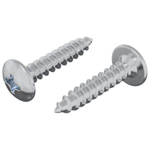 vidaXL Samorezn&yacute; skrutkov&yacute; klinc 2 pcs Zinkovan&yacute; 4 x 20 mm Oceľ