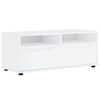 vidaXL TV skrinka &bdquo;VISNES&ldquo; biela 100x40x38 cm, drevo