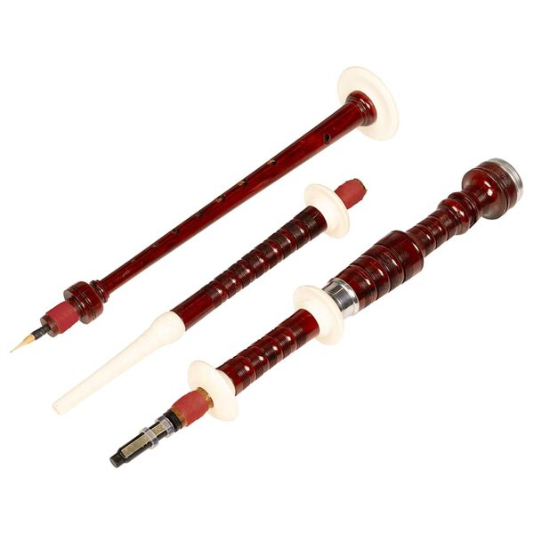 vidaXL &Scaron;k&oacute;tske gajdy goralsk&eacute;, červen&yacute; tartan Royal Stewart