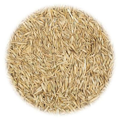 vidaXL Trávové semeno pre suché a horúce oblasti 30 kg