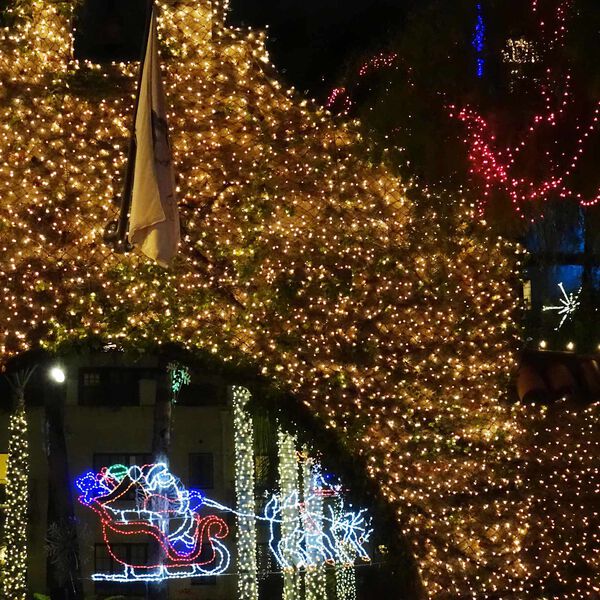 vidaXL Led Sieť Tmavozelen&aacute;