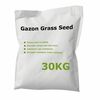 vidaXL Gazon Tr&aacute;vov&eacute; semeno 30 kg