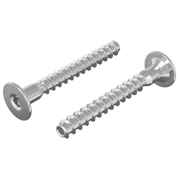 vidaXL Potvrden&eacute; skrutky 2 pcs Strieborn&aacute; &Oslash;5 x 40 mm Kov