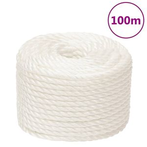 vidaXL Pracovn&eacute; lano biele 10 mm 100 m polypropyl&eacute;n