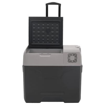 vidaXL Chladiaci box s kolieskom a adaptérom čierno-sivý 40 l PP