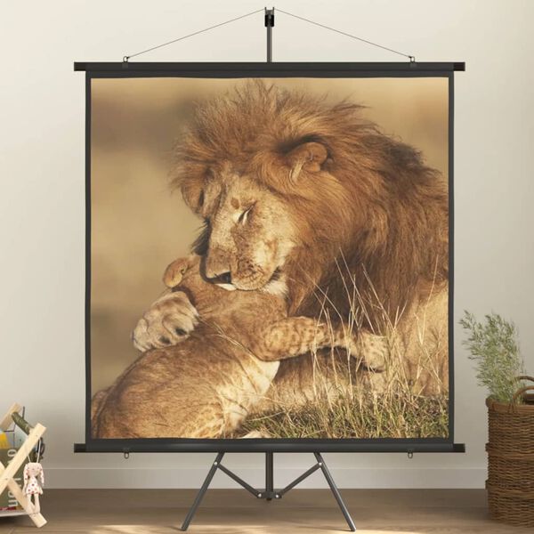 vidaXL Projekčn&eacute; pl&aacute;tno so stat&iacute;vom 89" 1:1