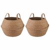 vidaXL Kvetin&aacute;č s uchami 2 pcs Pr&iacute;rodn&aacute; &Oslash; 32 x 32 cm 100% Morsk&aacute; tr&aacute;va