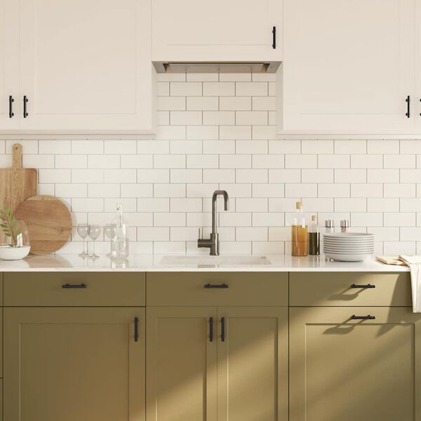 vidaXL Rukov&auml;te na skrinku 10 ks čierna 64 mm nehrdzavej&uacute;ca oceľ