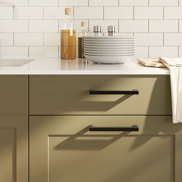 vidaXL Rukov&auml;te na skrinku 10 ks čierna 160 mm nehrdzavej&uacute;ca oceľ