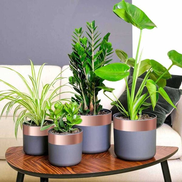 vidaXL Meden&aacute; p&aacute;ska 6 pcs Meden&aacute; 2000 x 7 cm Meden&aacute;