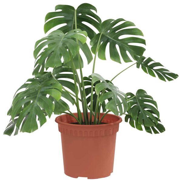 vidaXL Kulat&yacute; kvetin&aacute;č 24 pcs Tehlovo červen&aacute; &Oslash; 12,5 x 10 cm Plast