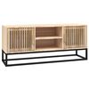 vidaXL TV skrinka 105x30x45 cm kompozitn&eacute; drevo a železo