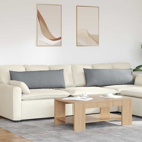 vidaXL Vankúše na pohovku 2 pcs Svetlosivá 120 x 40 cm látka