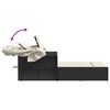 vidaXL Dvojit&eacute; ležadlo so strie&scaron;kou a podložkami, čierne, polyratan