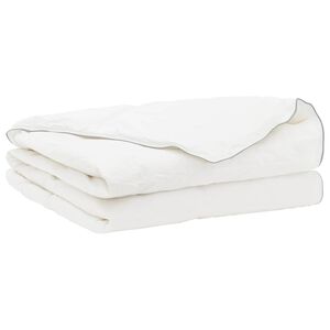 vidaXL Papl&oacute;n FULDA 200 x 220 cm Leto 100 GSM 90% husacie p&aacute;perie