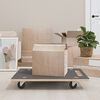 vidaXL Transportn&eacute; voz&iacute;ky 2 ks, obdĺžnikov&eacute; 80x55x11,5 cm 250 kg