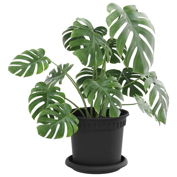 Zobrazuje sa obr&aacute;zok produktu 3 z 12