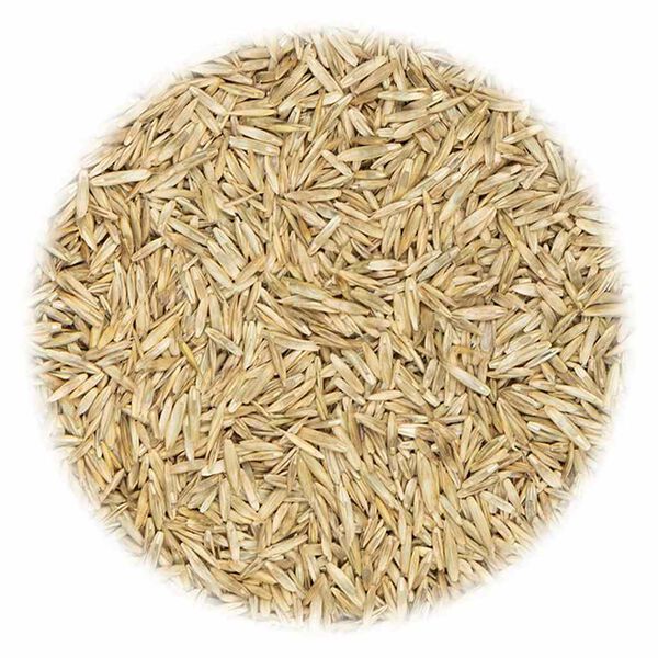 vidaXL Trávové semeno na športoviská 20 kg