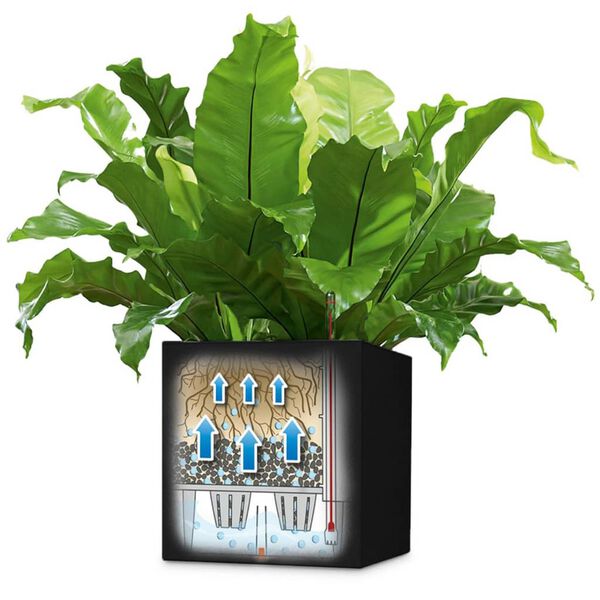 LECHUZA Kvetináč Canto Color Square 40 ALL-IN-ONE grafitový 13722