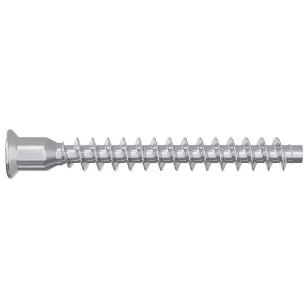 vidaXL Potvrden&eacute; skrutky 12 pcs Strieborn&aacute; &Oslash;7 x 58 mm Kov