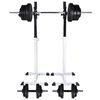 vidaXL Stojan na drepy so sadou činiek barbell a dumbbell 60,5 kg
