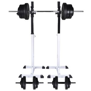 vidaXL Stojan na drepy so sadou činiek barbell a dumbbell 60,5 kg