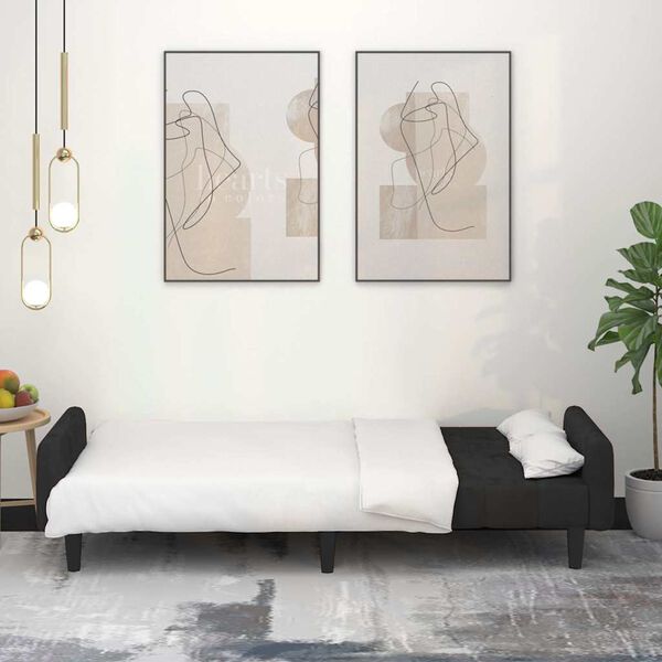 vidaXL 2-miestna rozkladacia pohovka, čierna, zamat