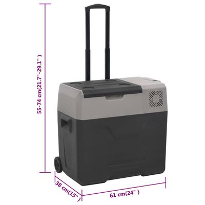 vidaXL Chladiaci box s kolieskom a rukoväťou čierno-sivý 50 l PP