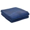 vidaXL Koberec do stanu Modr&aacute; 800 x 350 cm Polyester