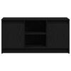 vidaXL TV jednotky Čierna 100 x 34 x 50 cm Kompozitné drevo