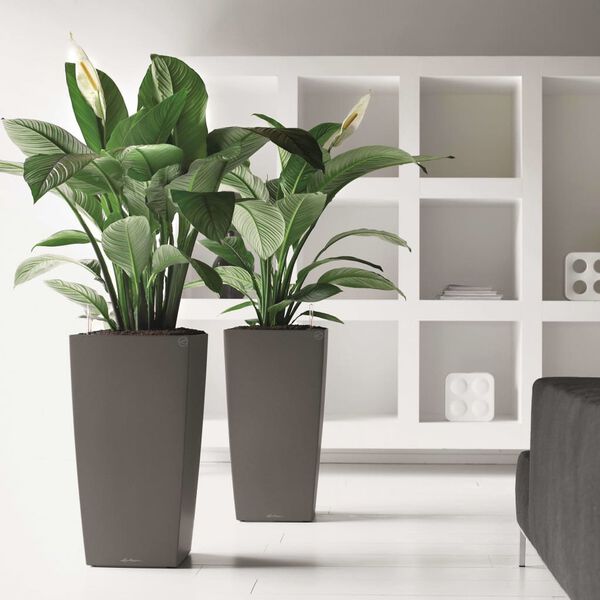 LECHUZA Kvetin&aacute;č Cubico 30 ALL-IN-ONE uhl&iacute;kov&yacute; 18184