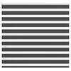 vidaXL Zebra roleta čierna 155x100 cm &scaron;&iacute;rka l&aacute;tky 150,9cm polyester