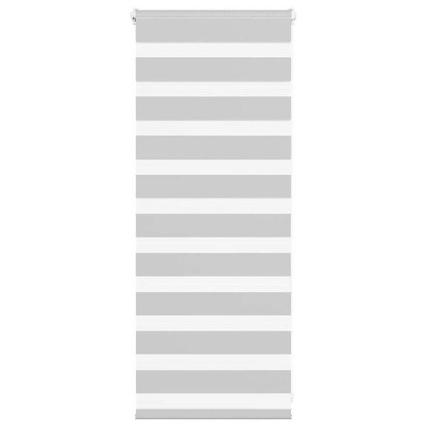 vidaXL Zebra roleta svetlosiv&aacute; 60x100 cm &scaron;&iacute;rka l&aacute;tky 55,9 cm polyester