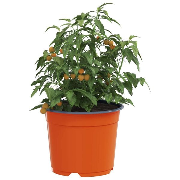 Zobrazuje sa obr&aacute;zok produktu 3 z 11