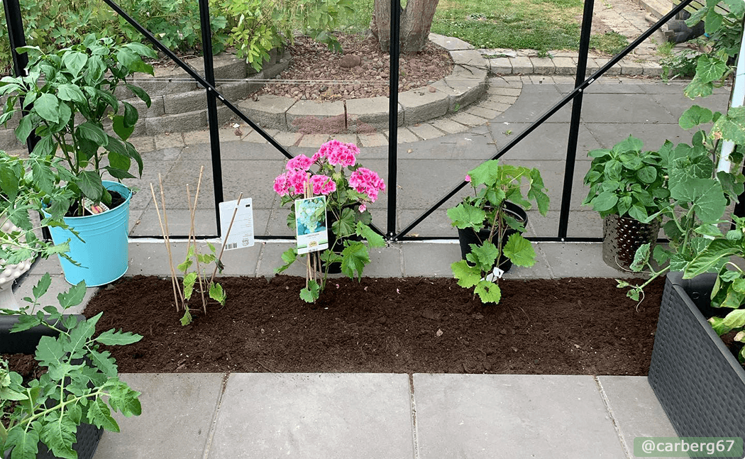 Gardening in a greenhouse