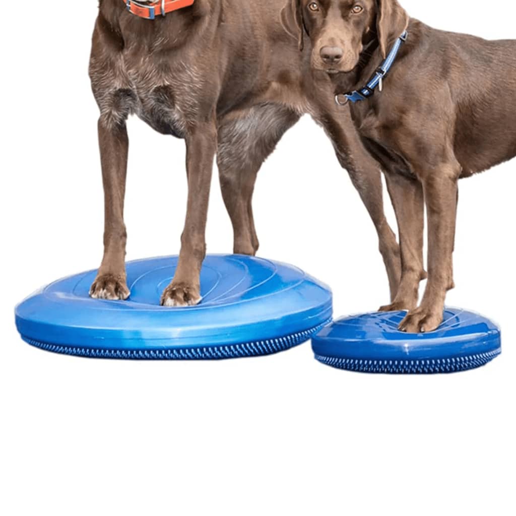 FitPAWS Balančný disk pre domáce zviera 56 cm modrý