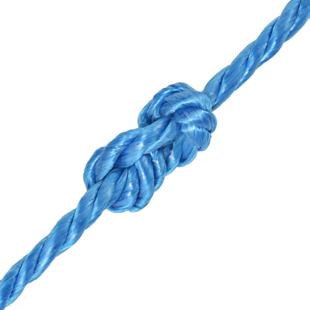 vidaXL Pletené lano polypropylénové 10 mm 500 m modré