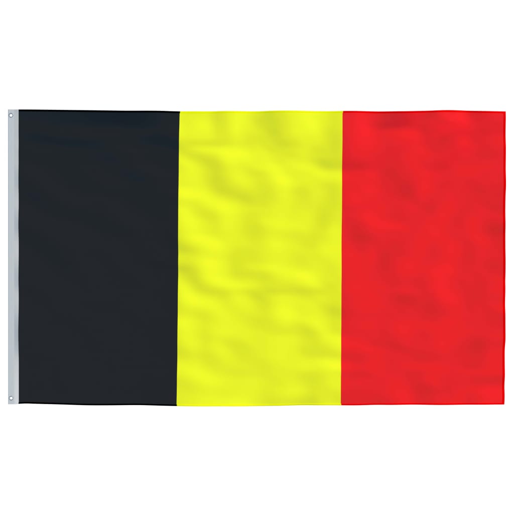vidaXL Vlajka Belgicka a tyč 6,23 m hliník