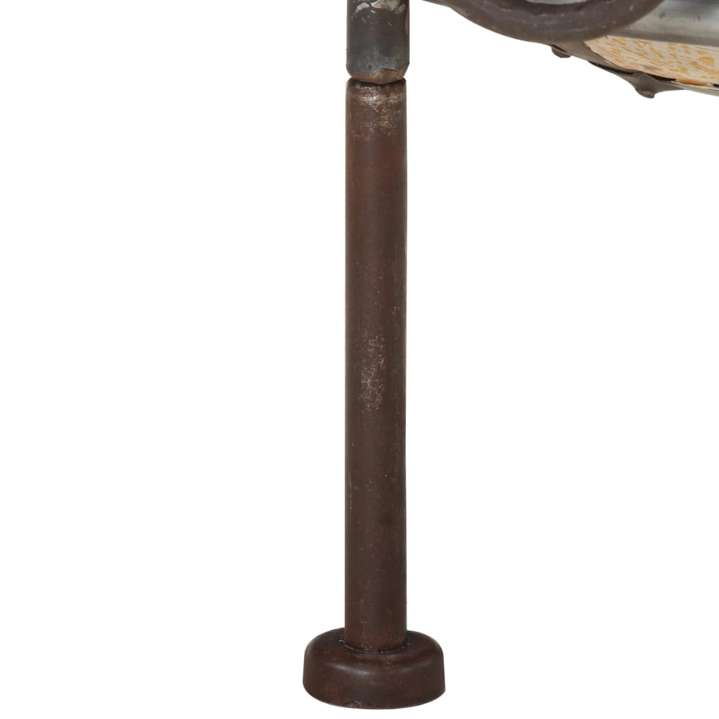 vidaXL Farebné rustikálne prenosné ohnisko Ø40 cm železo