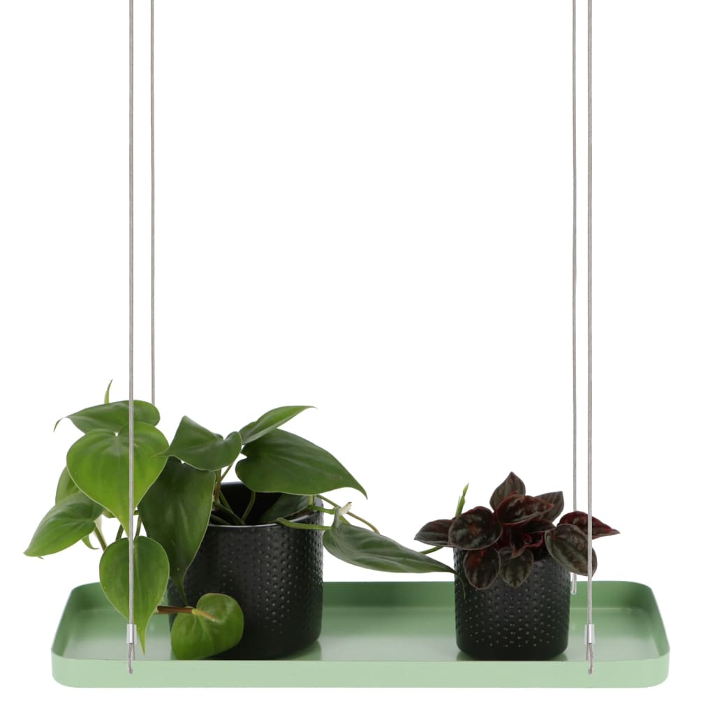 Esschert Design Závesný podnos na rastliny obdĺžnikový zelený S