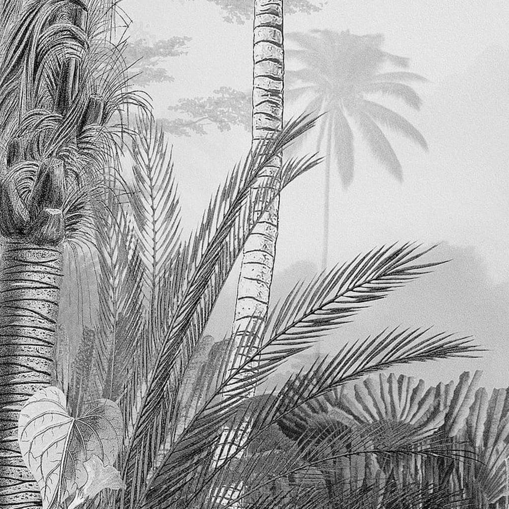 Komar Fototapeta Lac Tropical Black & White 200x270 cm