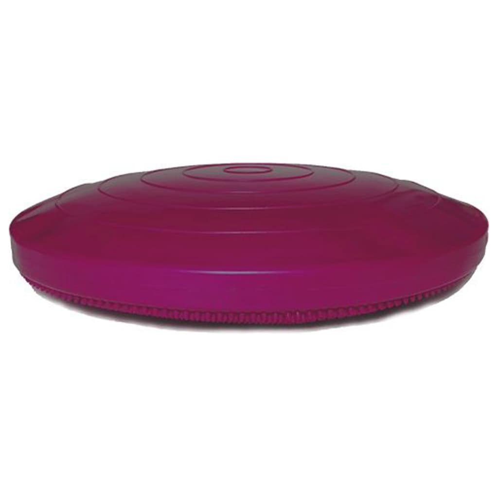 FitPAWS Balančný disk pre domáce zviera 56 cm ríbezľový