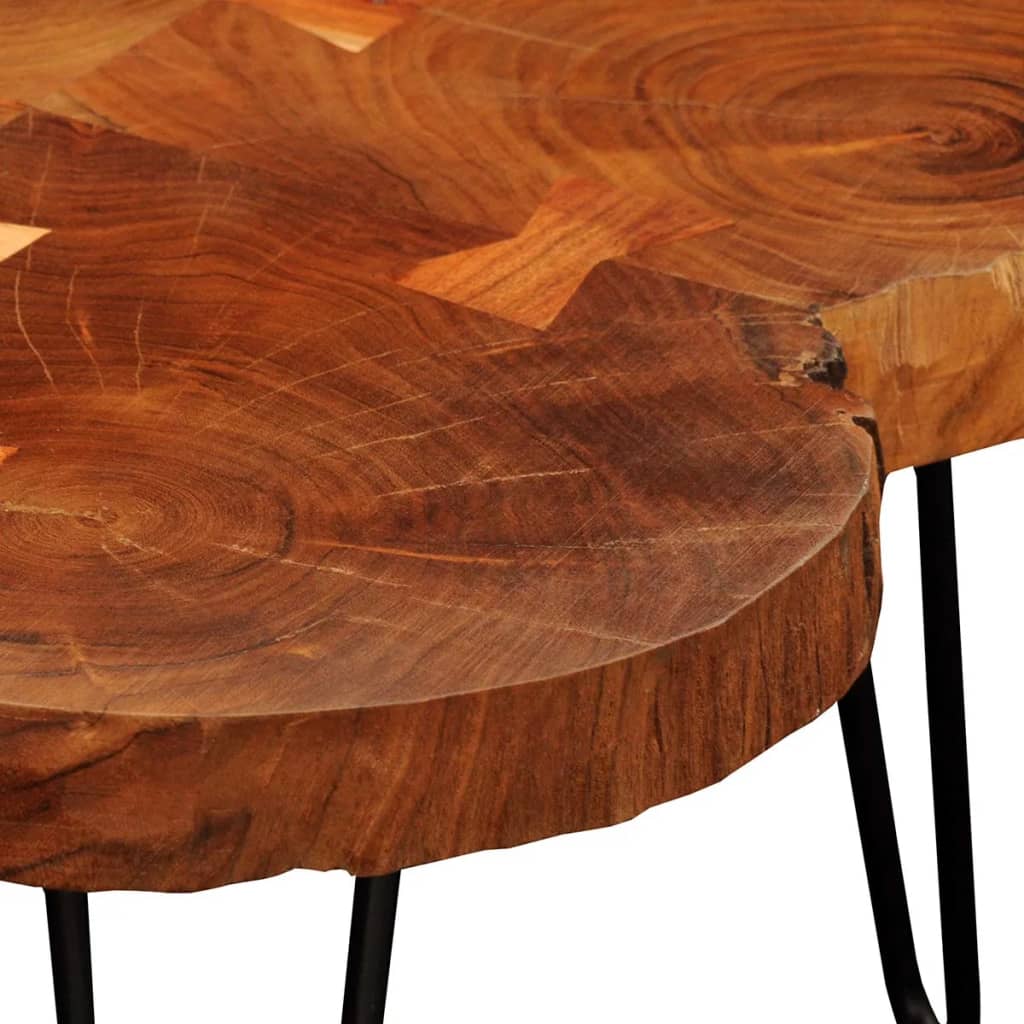 vidaXL Konferenčný stolík 35 cm, 4 kmene, drevený masív sheesham