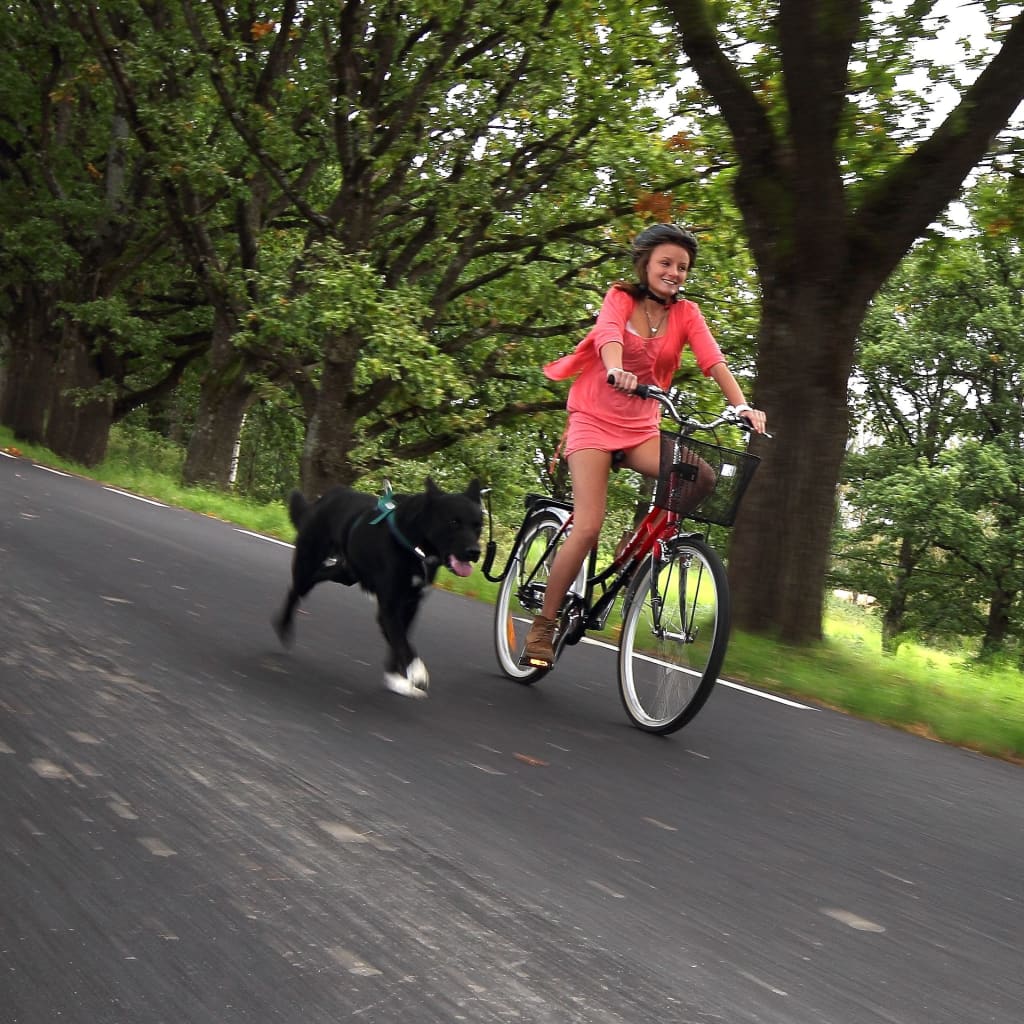 SPRINGER Držiak na bicykel pre psy
