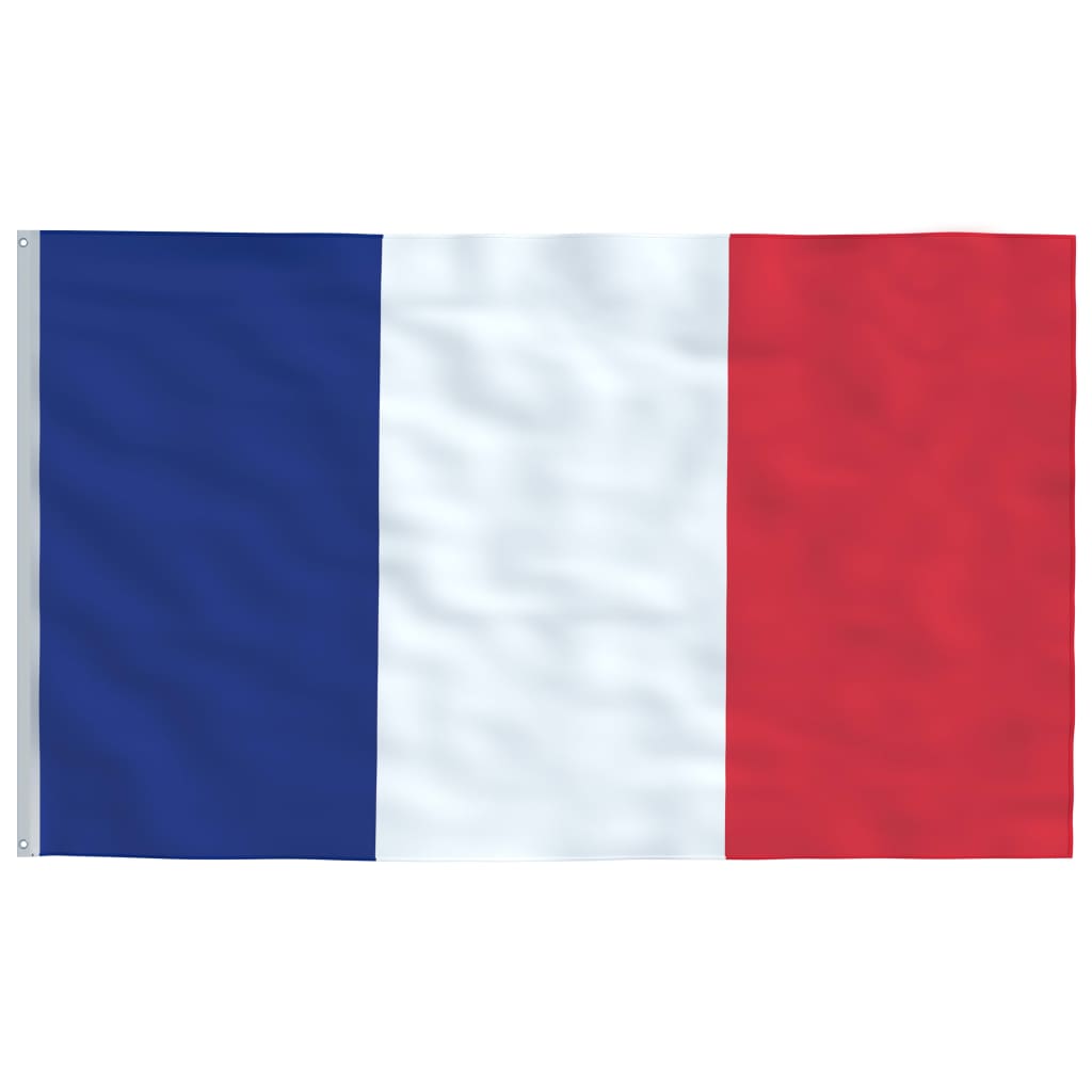 vidaXL Vlajka Francúzska a tyč 5,55 m hliník