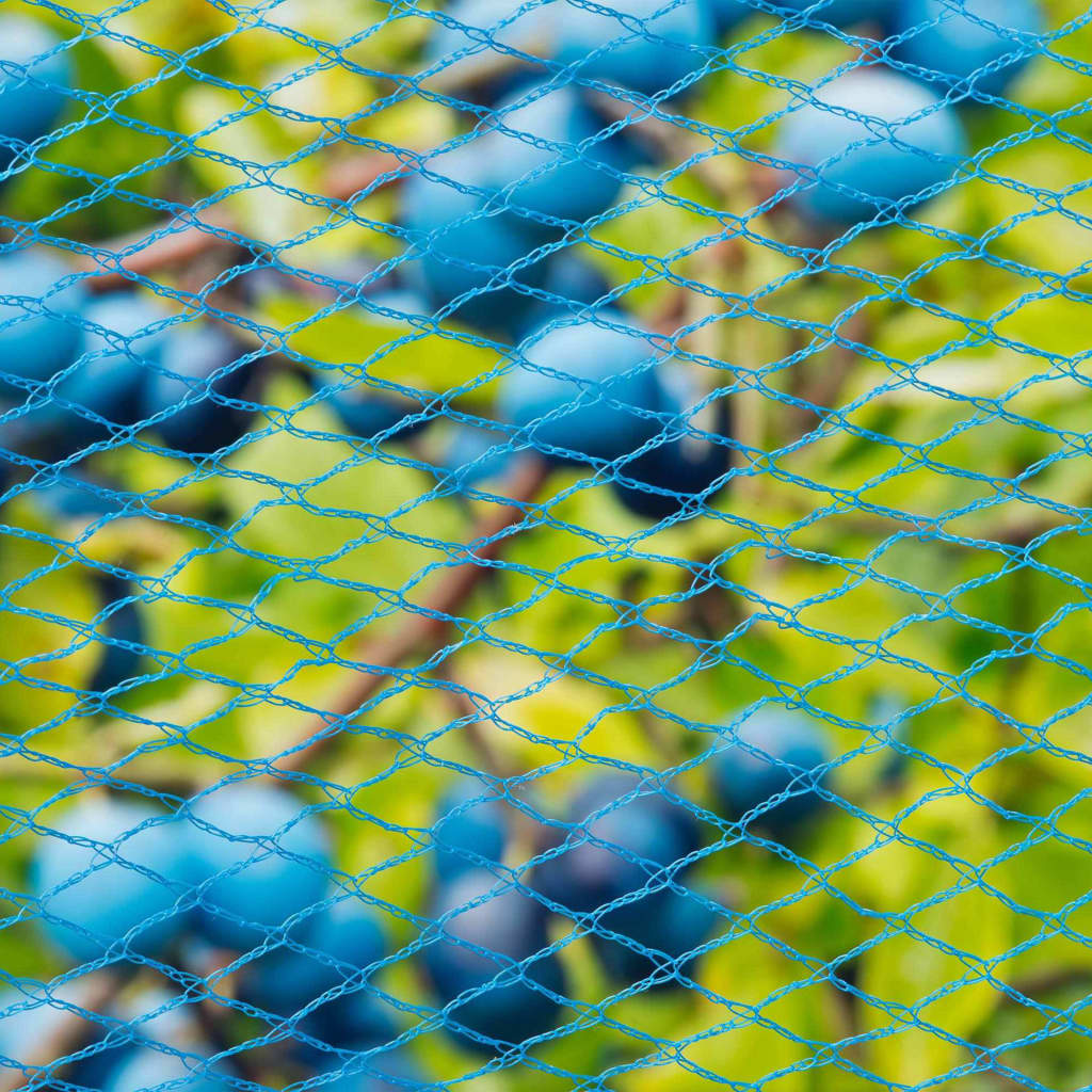 Nature Sieťka proti vtákom Nano 10x4 m modrá