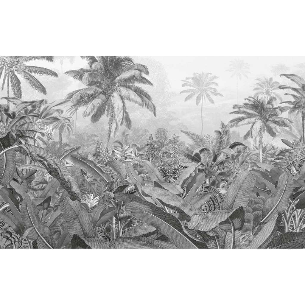 Komar Fototapeta Amazonia čierno-biela 400x250 cm