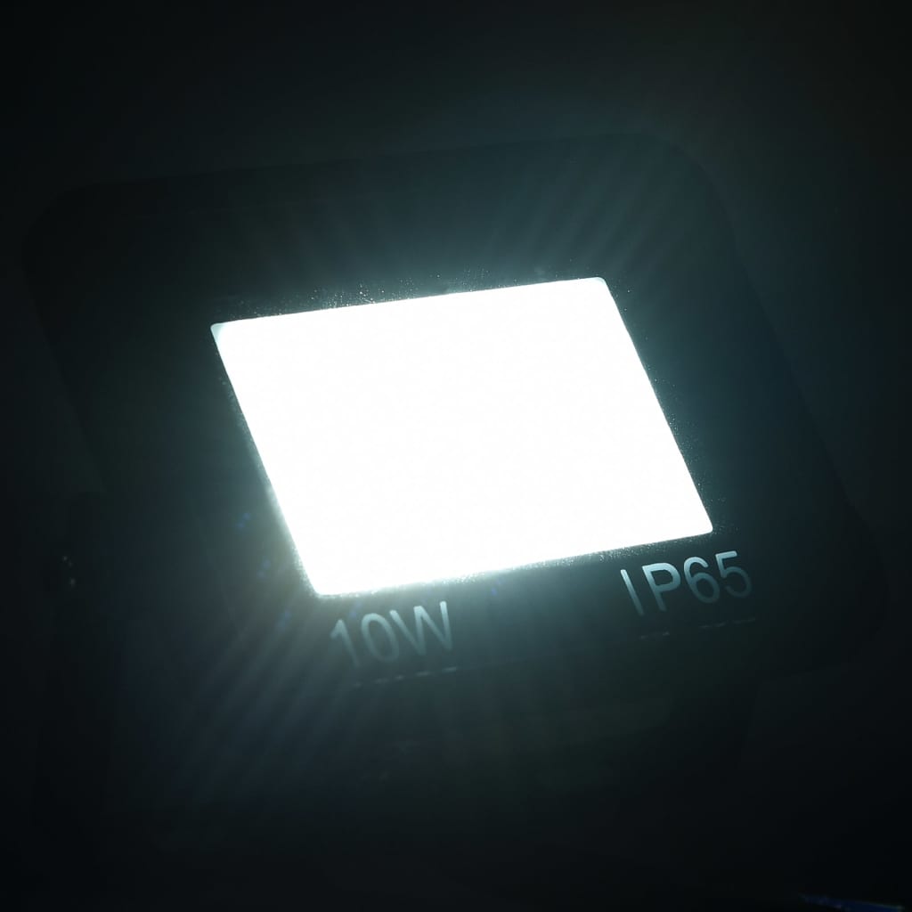 vidaXL LED reflektory 2 ks 10 W studené biele svetlo