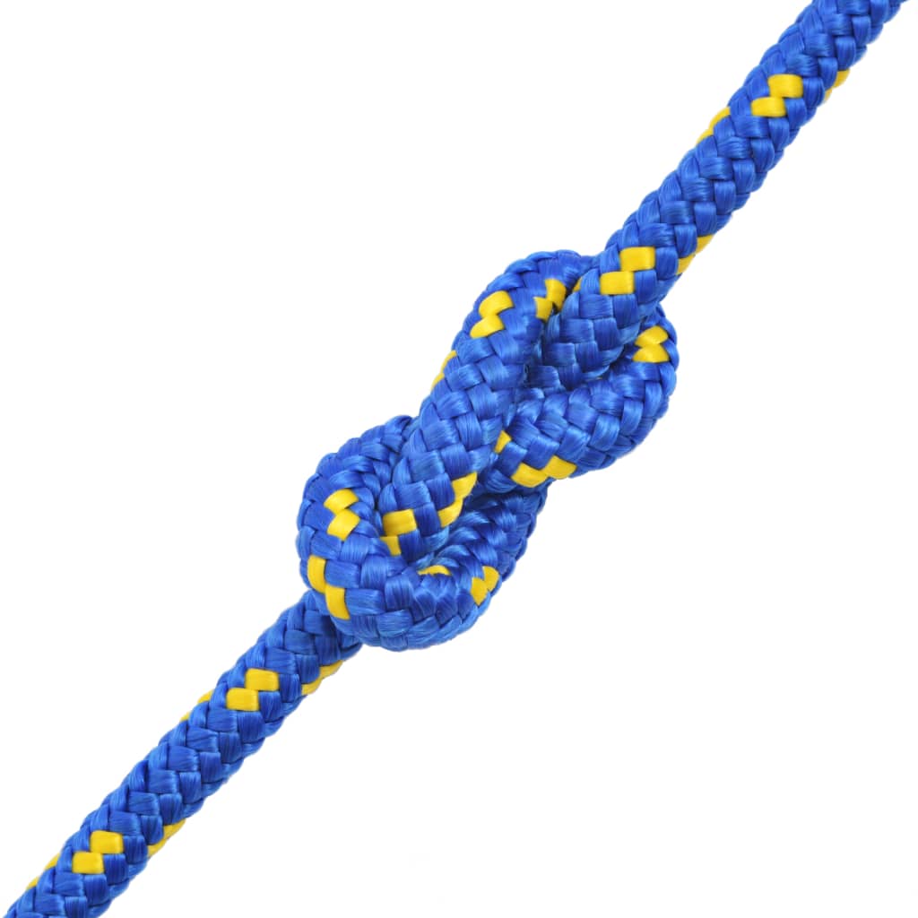 vidaXL Lodné lano, polypropylén, 6 mm, 100 m, modré