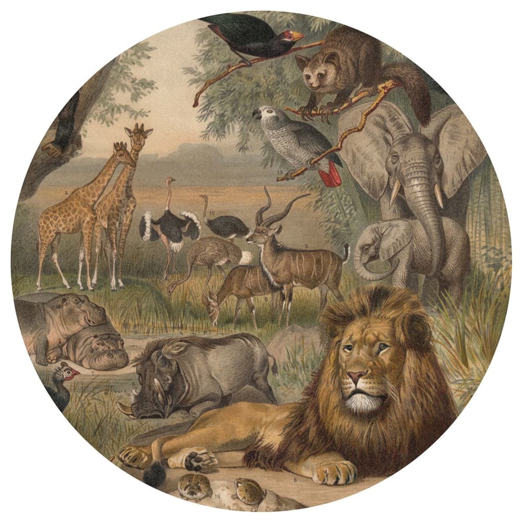WallArt Kruhová tapeta Animals of Africa 190 cm
